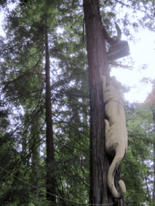 Without a word, she dropped to the ground.