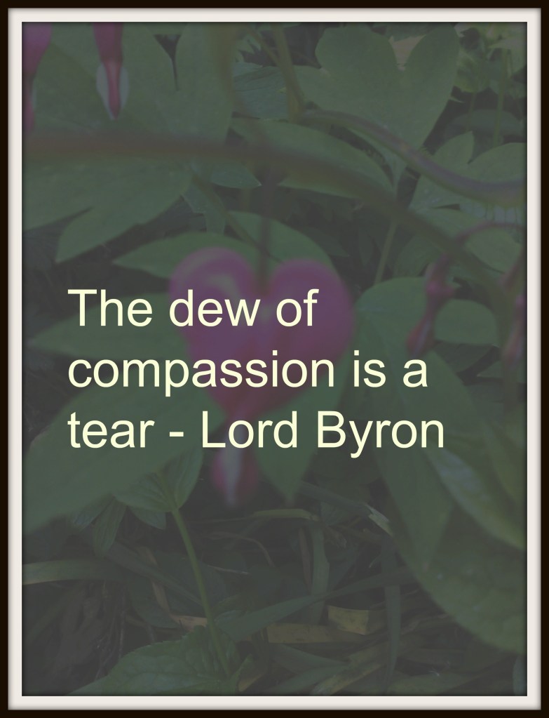 dew of compassion