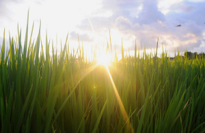 Shine some light into another writer’s or blogger’s world today #writers&nbsp;#bloggers