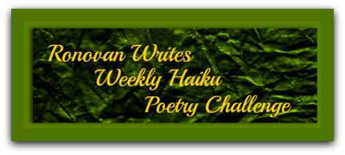 Let go of Anger: Ronovan Writes Weekly Haiku Prompt Challenge&nbsp;#53